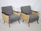 Set of Mid-Century French Lounge Chairs, 1950s 6