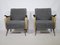 Set of Mid-Century French Lounge Chairs, 1950s 2