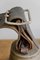 Campanaccio antico con fascia in pelle di Moser, Svizzera, Immagine 8