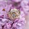 French Colorless Stone 18 Karat Rose Gold Tank Ring, 1950s, Image 3