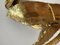 Brutalist Gilded Foliage Sconces attributed to Paul Moerenhout, 1970s, Set of 2 13