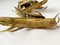 Brutalist Gilded Foliage Sconces attributed to Paul Moerenhout, 1970s, Set of 2 6