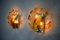 Leaf Wall Lights in in Orange Frosted Glass from Murano Mazzega, 1970, Set of 2, Image 2