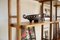 Vintage Italian Walnut Bookcase, 1955 17
