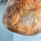 Phytomorphic Sculptural Wooden Vase, Italy, 1960s 15
