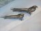 Japanese Peacock Figurines, 1950s, Set of 2, Image 8