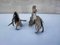Japanese Hen and Rooster Figurines, 1950s, Set of 2, Image 7