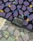 Vintage Wool Rug from Missoni, 1980s , Image 3