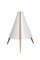 Acrylic and Teak Table Lamp by Hans Agne Jakobsson, 1950s, Image 1