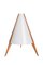 Acrylic and Teak Table Lamp by Hans Agne Jakobsson, 1950s, Image 2