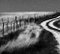 Ian Sanderson, Woodingdean, 1987, Fotografía, Imagen 2