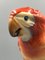 Mid-Century Parrot in Hand Painted Porcelain from Herend Hungary, 1950s, Image 8