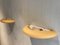 Murano Wall Lamp in Amber by Carlo Nason 3
