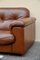 Large Vintage DS 101 Sofa from De Sede, 1960s, Image 2
