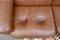Large Vintage DS 101 Sofa from De Sede, 1960s, Image 14