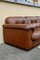 Large Vintage DS 101 Sofa from De Sede, 1960s, Image 13