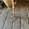 Mid-Century Italian Modern Ceramic and Brass Floor Lamp, 1950s 7