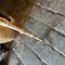 Mid-Century Italian Modern Ceramic and Brass Floor Lamp, 1950s 8