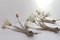 Vintage Italian Murano Wall Sconce, 1980s. 4