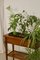 Vintage Indoor Wooden Planter, 1980 6