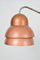 Glockenblumenförmige Vintage Stehlampe 2