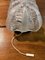 Vintage Wandlampe aus Acetatglas, 1970er 4