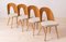Mid-Century Dining Chairs attributed to A. Suman, 1960s, Set of 16, Image 6
