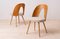 Mid-Century Dining Chairs attributed to A. Suman, 1960s, Set of 16, Image 8