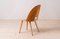 Mid-Century Dining Chairs attributed to A. Suman, 1960s, Set of 16, Image 12