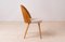 Mid-Century Dining Chairs attributed to A. Suman, 1960s, Set of 16, Image 14