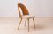 Mid-Century Dining Chairs attributed to A. Suman, 1960s, Set of 16, Image 15