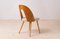 Mid-Century Dining Chairs attributed to A. Suman, 1960s, Set of 16, Image 13