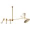 Four-Arm Brass Asymmetrical Chandelier by Silvio Piattelli 1