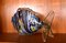 Very Large Mid-Century Murano Glass Fish Sculptures, Italy, 1960s, Set of 2 9