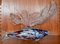 Große Midcentury Fischskulptur aus Muranoglas, 1970er 4
