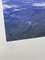Joe Webb, Deep Dive, 2024, Documento, Imagen 4