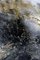 Lola Vitelli, Scent of Black, Tecnica mista su tela, 2022, Immagine 5