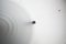 Pl300 Wandlampen von Philips, 1990er, 2er Set 9