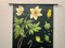 Vintage Wall Chart Anemone by Jung, Koch & Quentell for Hagemann, 1961 3