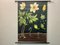 Vintage Wall Chart Anemone by Jung, Koch & Quentell for Hagemann, 1961 2