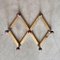 Wall-Mounted Coat Rack by Luigi Caccia Dominion for Azucena, 1960s 14