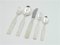 Austrian 30-Piece Cutlery by Peter Hagenauer, Set of 30, Image 5