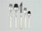 Austrian 30-Piece Cutlery by Peter Hagenauer, Set of 30, Image 8