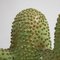 Scultura a forma di cactus, anni '70, ceramica, Immagine 8