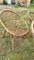 Shell Rattan Sessel, 1960er, 4 . Set 5