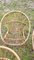 Shell Rattan Sessel, 1960er, 4 . Set 6