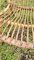 Shell Rattan Sessel, 1960er, 4 . Set 9