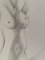 Leszek Rózga, Desnudo, 1998, Dibujo en papel, Imagen 3