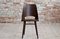 Mid-Century Modern Dining Chairs by Radomir Hofman for Ton, 1950s, Set of 8 9