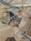 Large Antique Aubusson Tapestry with Historical Battle Scene, 17th Century, Image 19